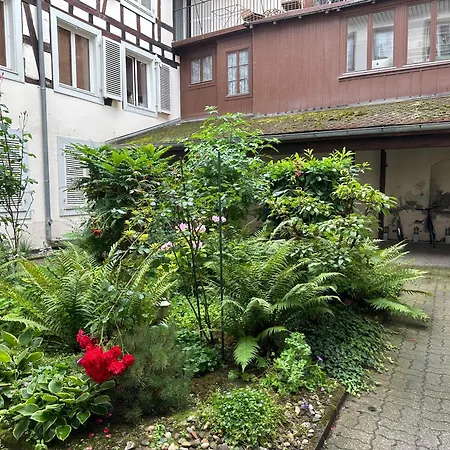 My Apartment